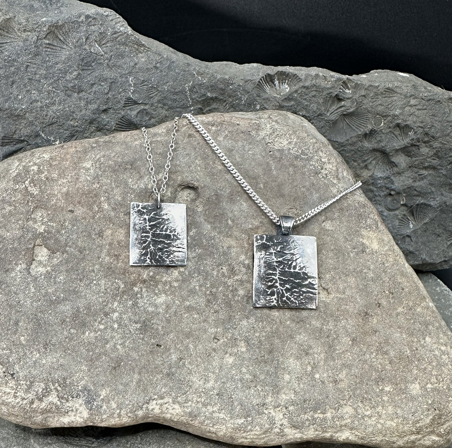 Pair of 3D fine silver pendants of Great Basin National Park. Accurately displays the elevations and contours of the park in two different sizes.