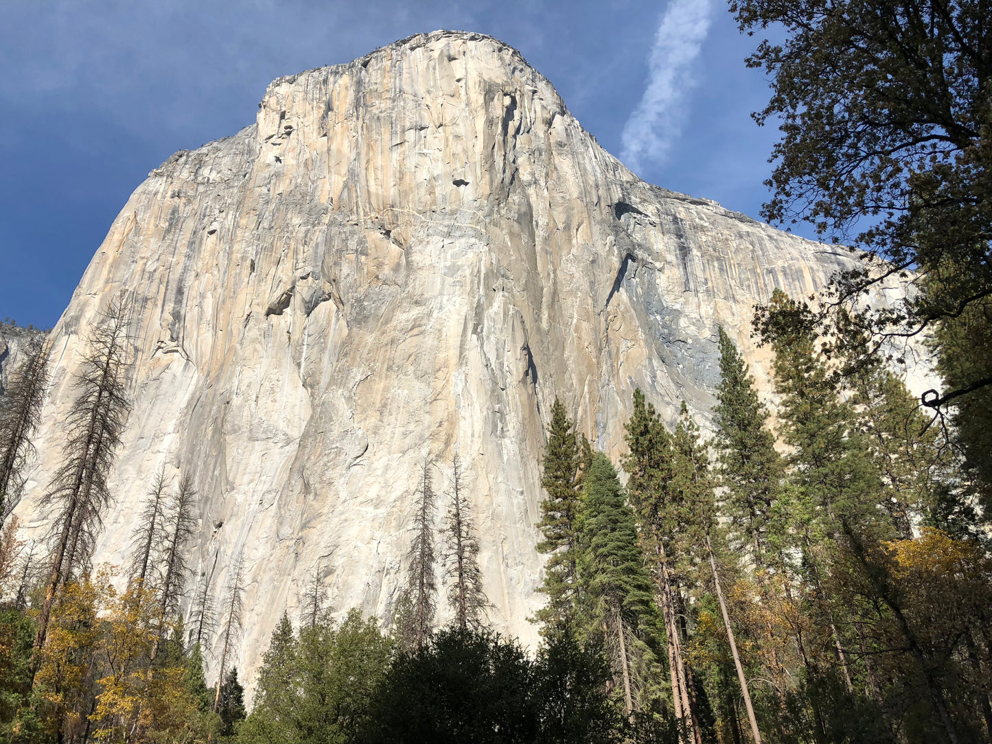 Picture of El Capitan at Yosemite