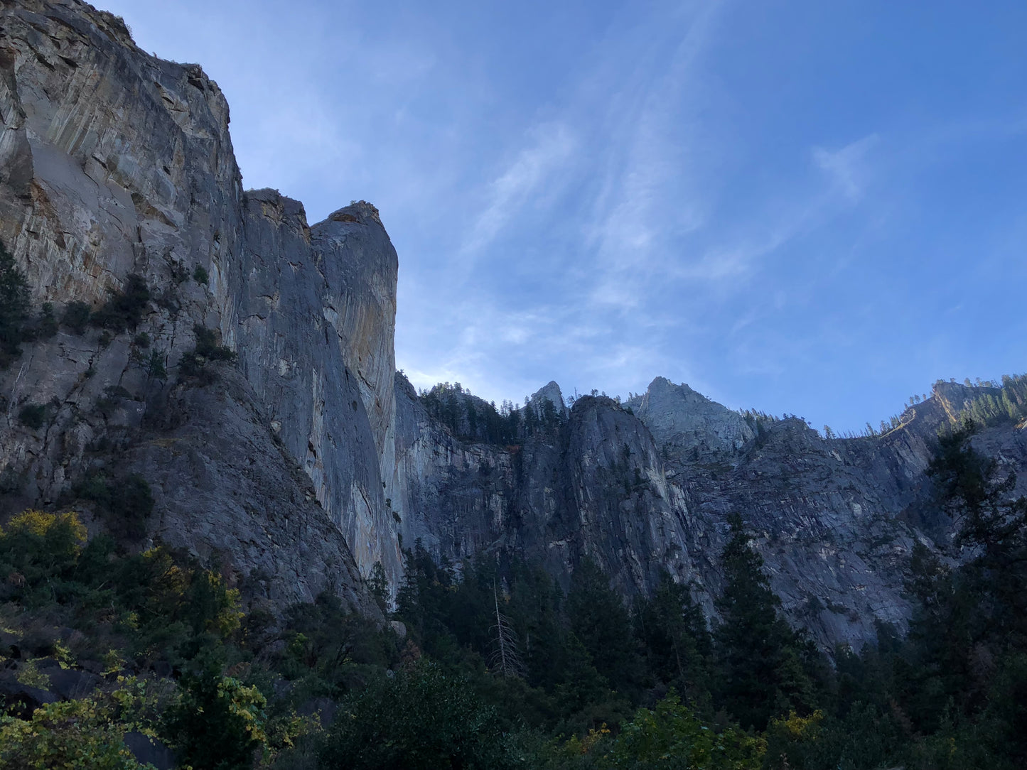 Yosemite National Park Picture
