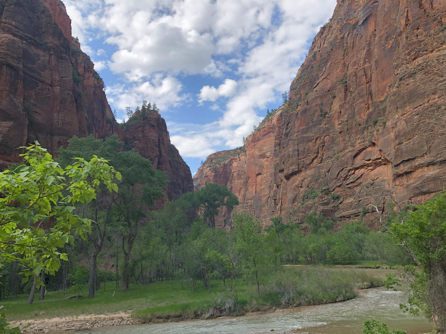 Zion National Park