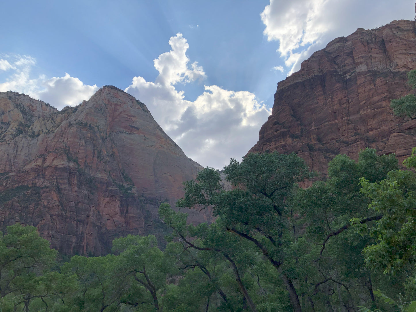 Zion National Park
