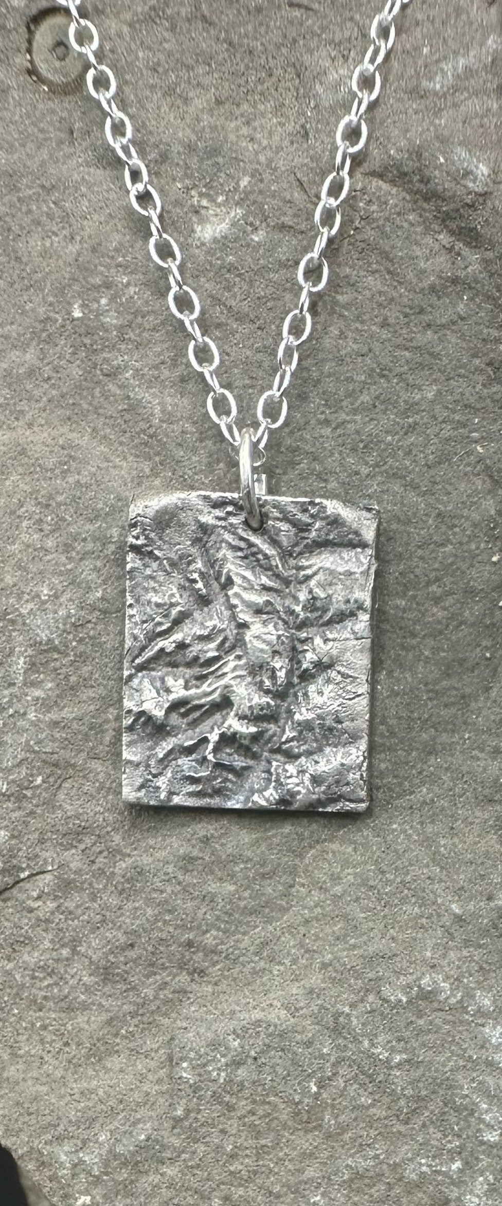 Fine Silver necklace of Zion National Park made from topographic data.