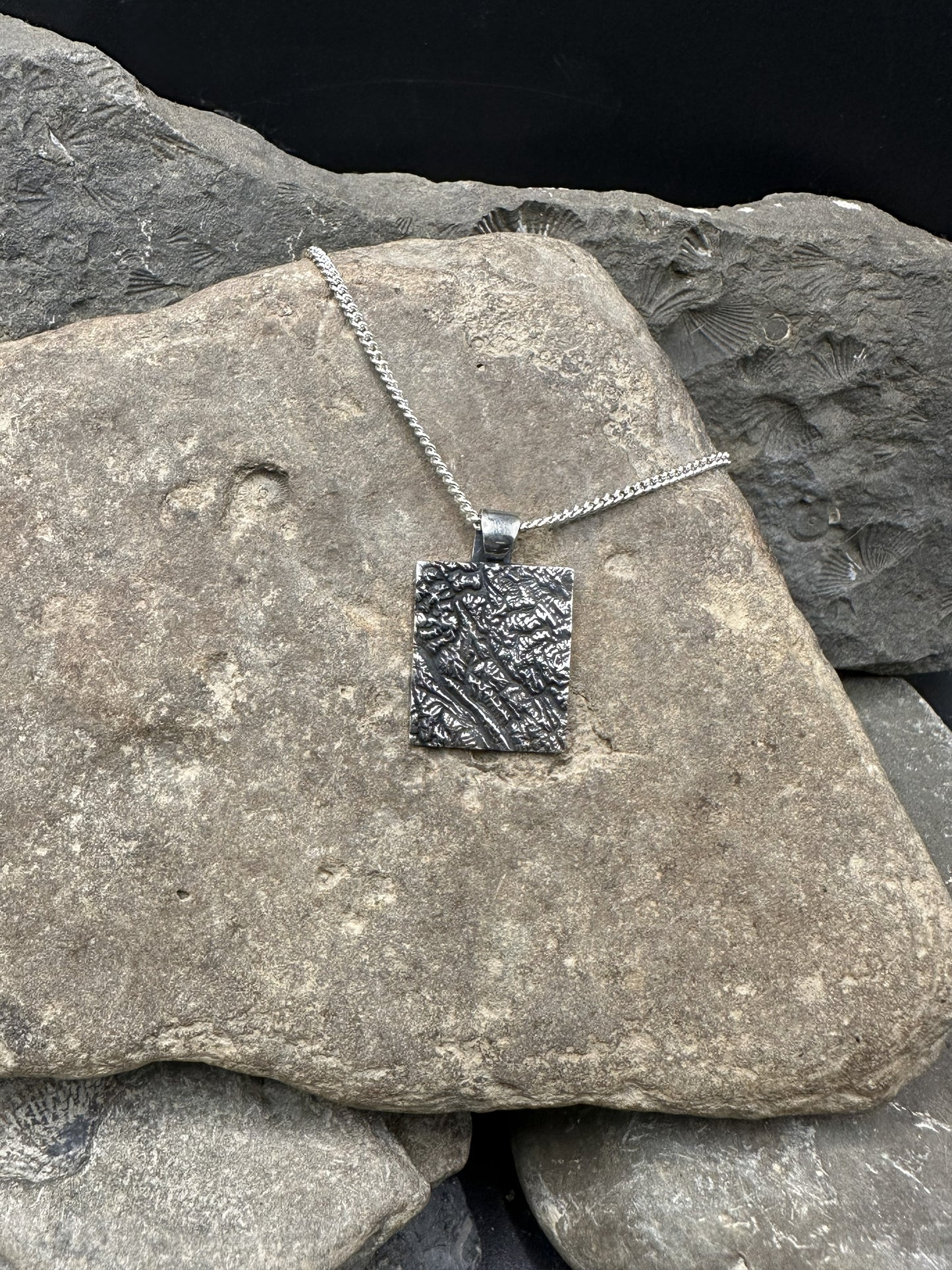 3D fine silver pendant of Alberta Canada's Banff National Park.  Accurately displays the elevations and contours of the park.  