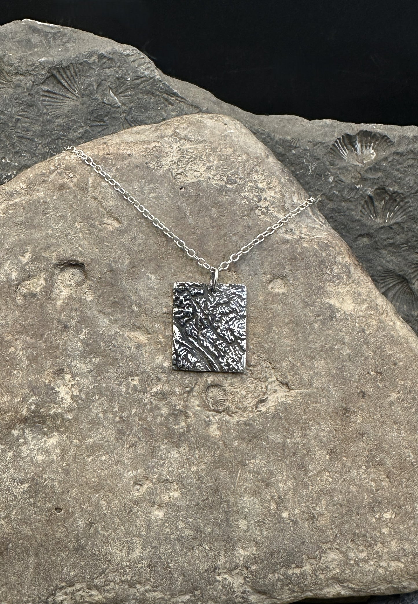 3D fine silver pendant of Alberta Canada's Banff National Park.  Accurately displays the elevations and contours of the park.  