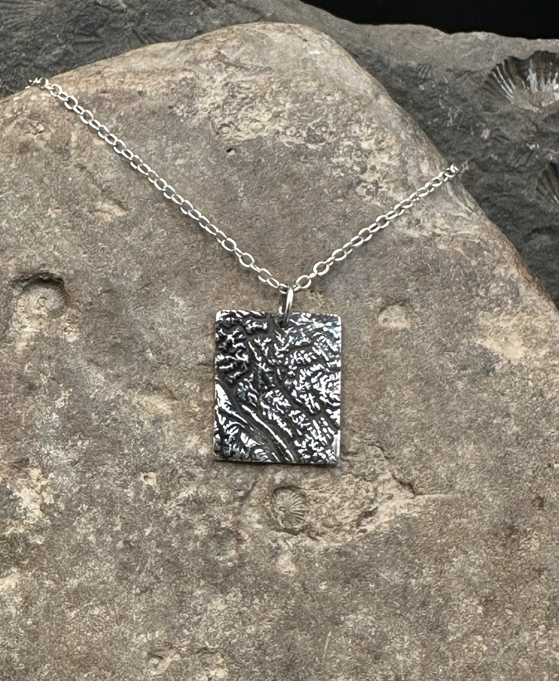 3D fine silver pendant of Alberta Canada's Banff National Park.  Accurately displays the elevations and contours of the park.  