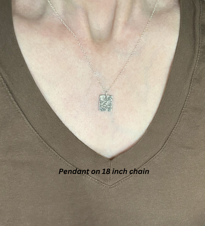 Fine Silver Canyonlands Pendant on 18 inch chain