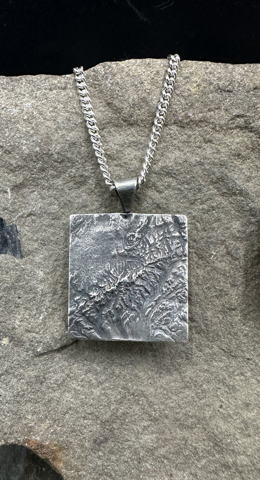 Denali National Park Topographic Necklace
