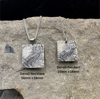 Denali National Park Topographic Necklace