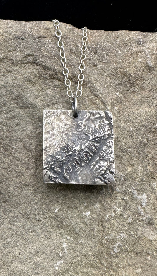 Denali National Park Topographic Pendant