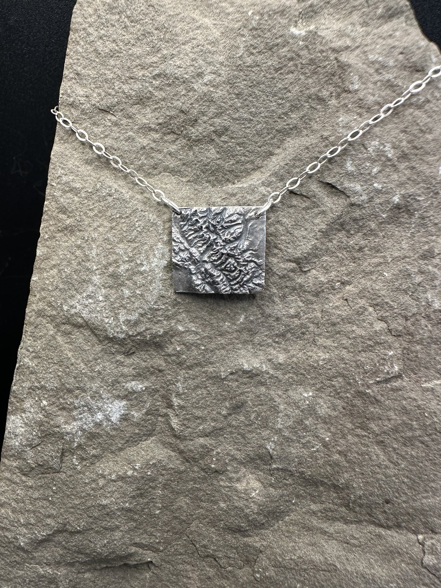 Glacier National Park Topographic Necklace