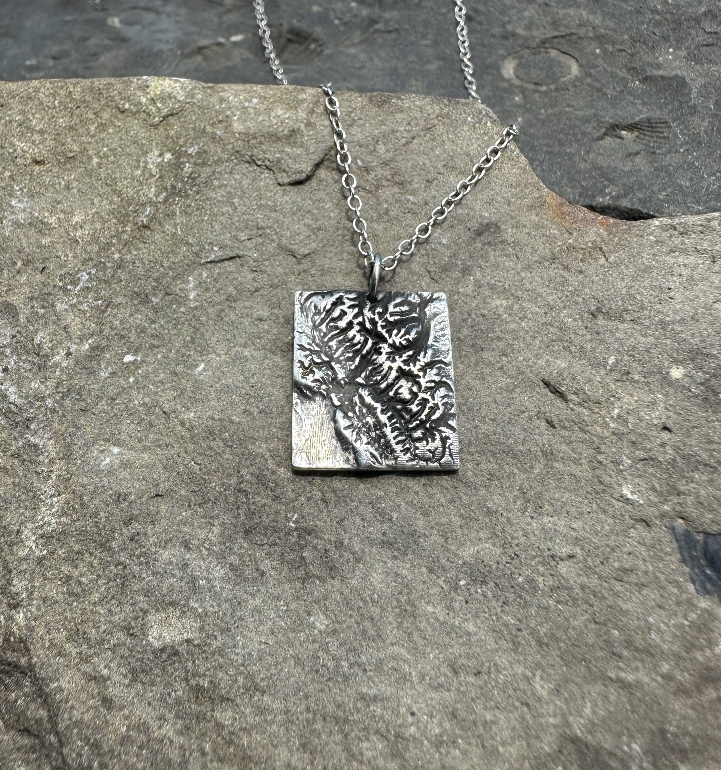Glacier National Park Topographic Pendant