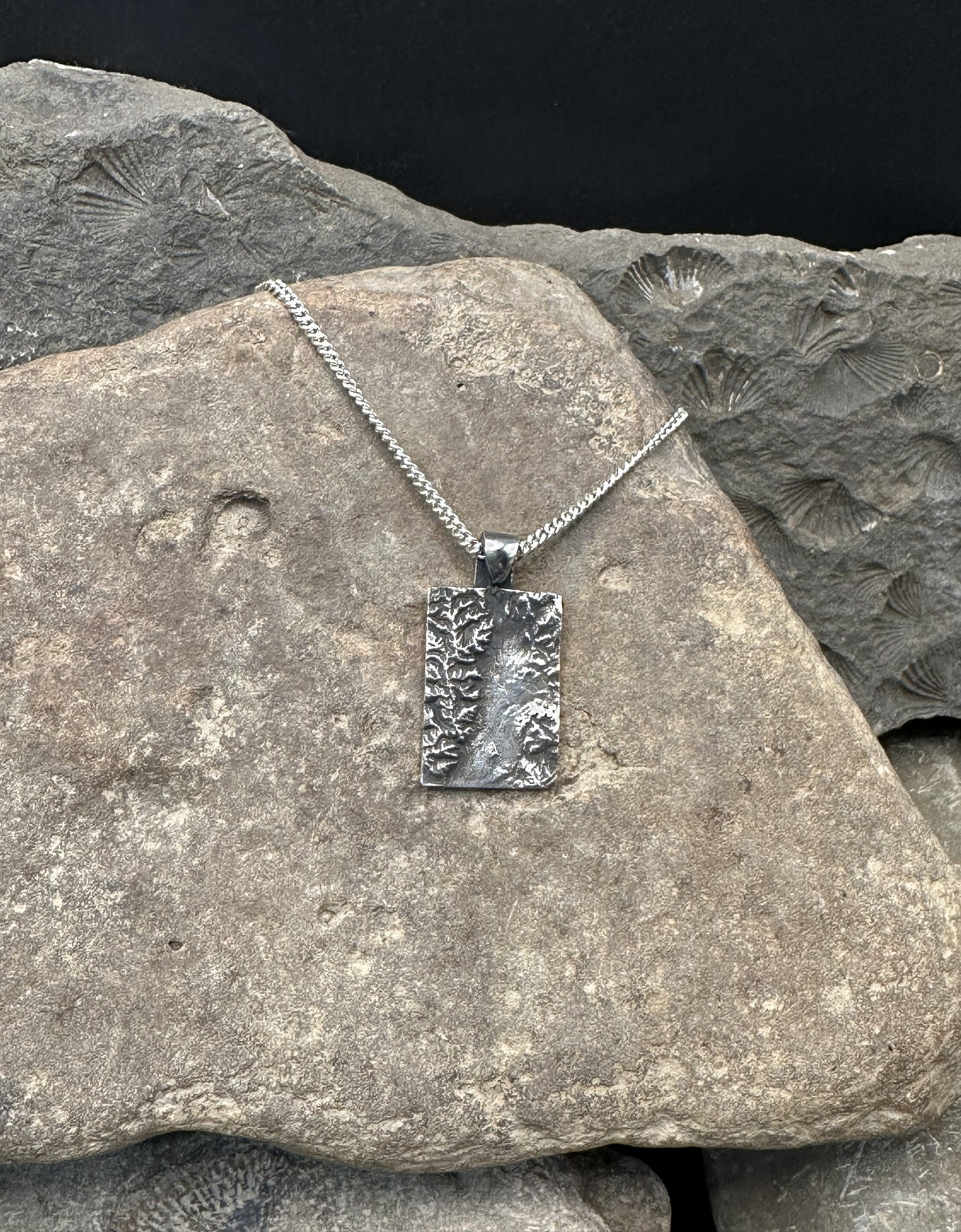 3D fine silver pendant of Grand Teton National Park.  Accurately displays the elevations and contours of the park.  