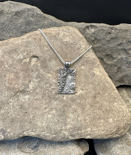 3D fine silver pendant of Grand Teton National Park.  Accurately displays the elevations and contours of the park.  