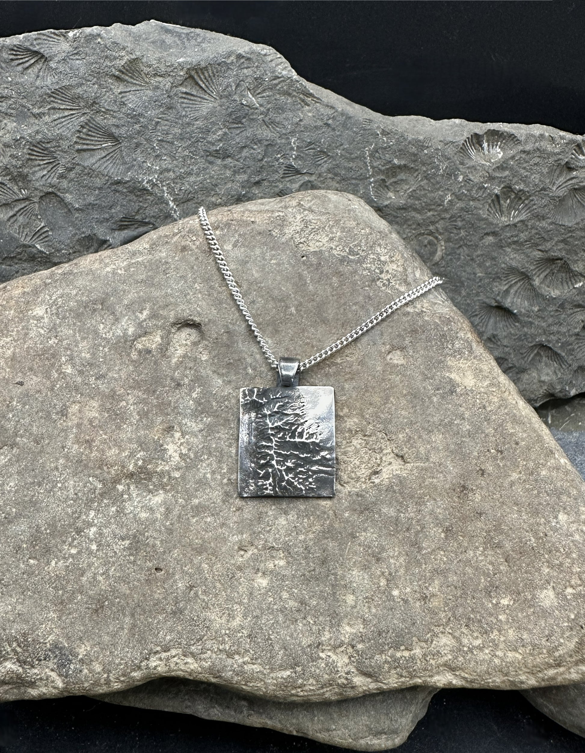 3D fine silver pendant of Great Basin National Park.  Accurately displays the elevations and contours of the park.  