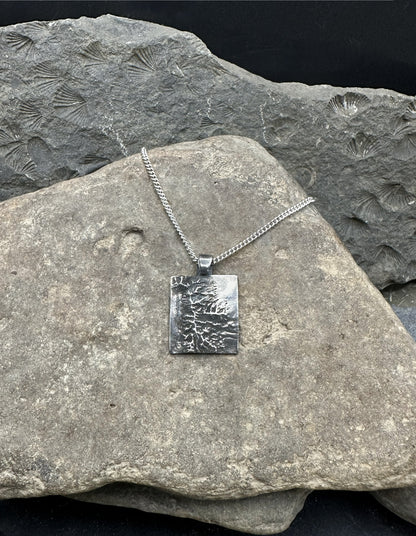 3D fine silver pendant of Great Basin National Park.  Accurately displays the elevations and contours of the park.  