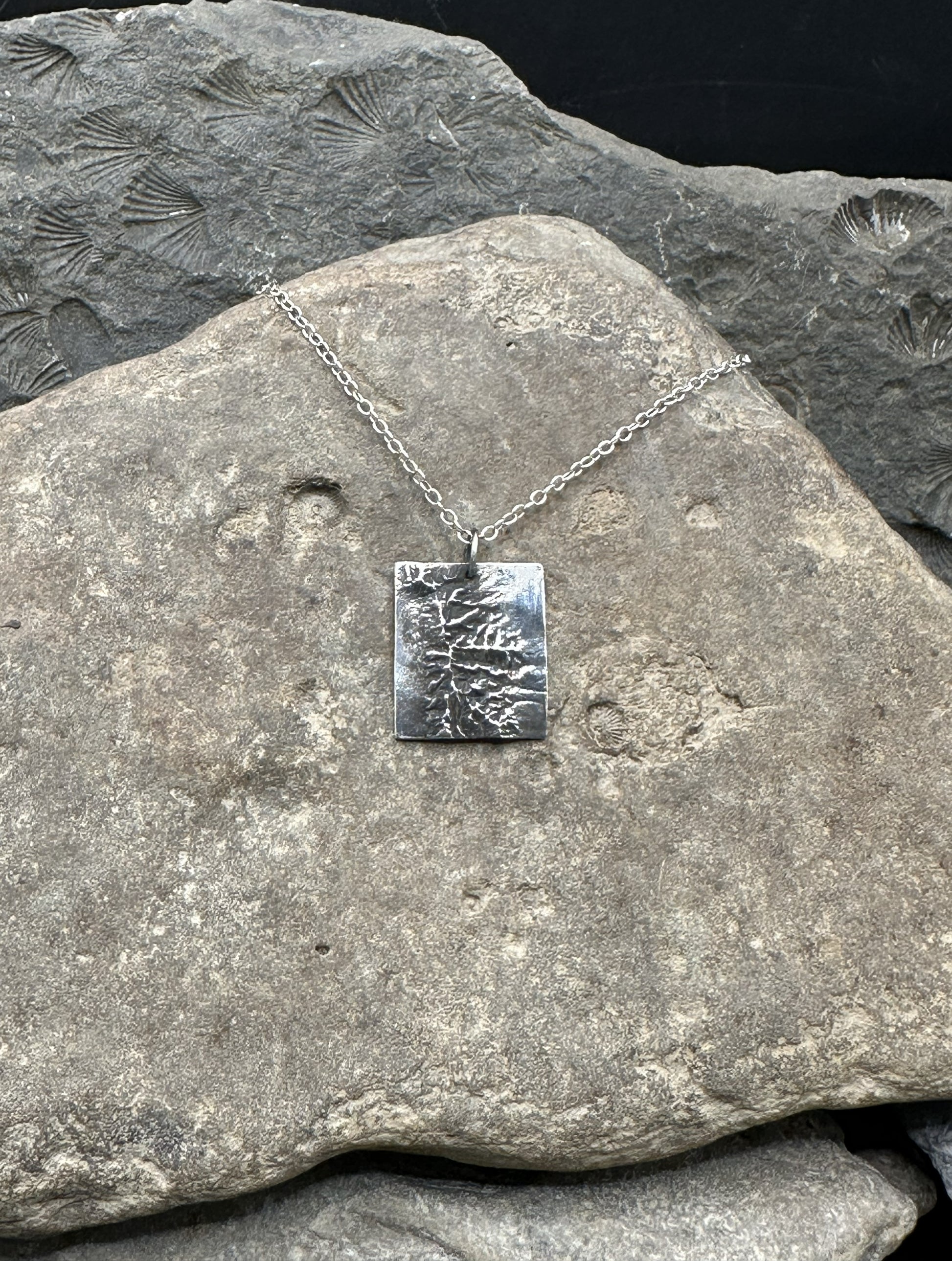 3D fine silver pendant of Great Basin National Park.  Accurately displays the elevations and contours of the park.  