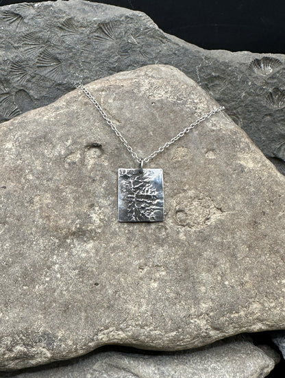 3D fine silver pendant of Great Basin National Park.  Accurately displays the elevations and contours of the park.  