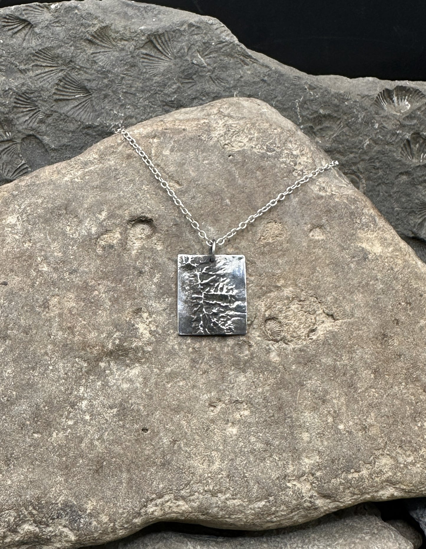 3D fine silver pendant of Great Basin National Park.  Accurately displays the elevations and contours of the park.  
