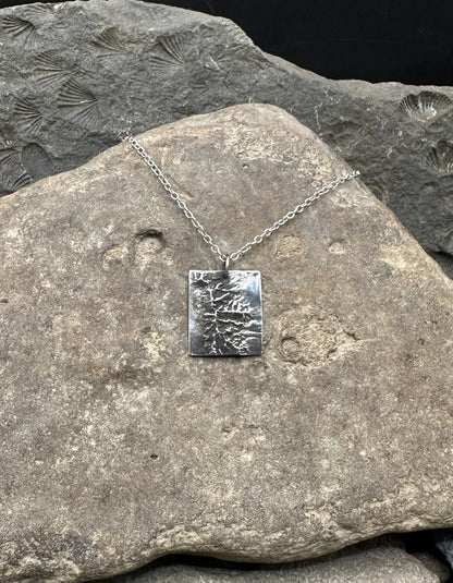 3D fine silver pendant of Great Basin National Park.  Accurately displays the elevations and contours of the park.  