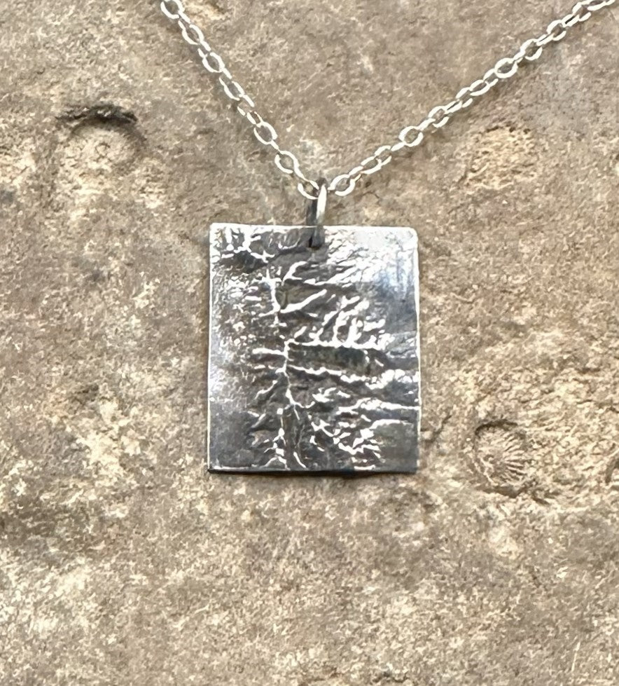 3D fine silver pendant of Great Basin National Park.  Accurately displays the elevations and contours of the park.  