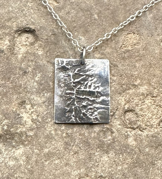 3D fine silver pendant of Great Basin National Park.  Accurately displays the elevations and contours of the park.  