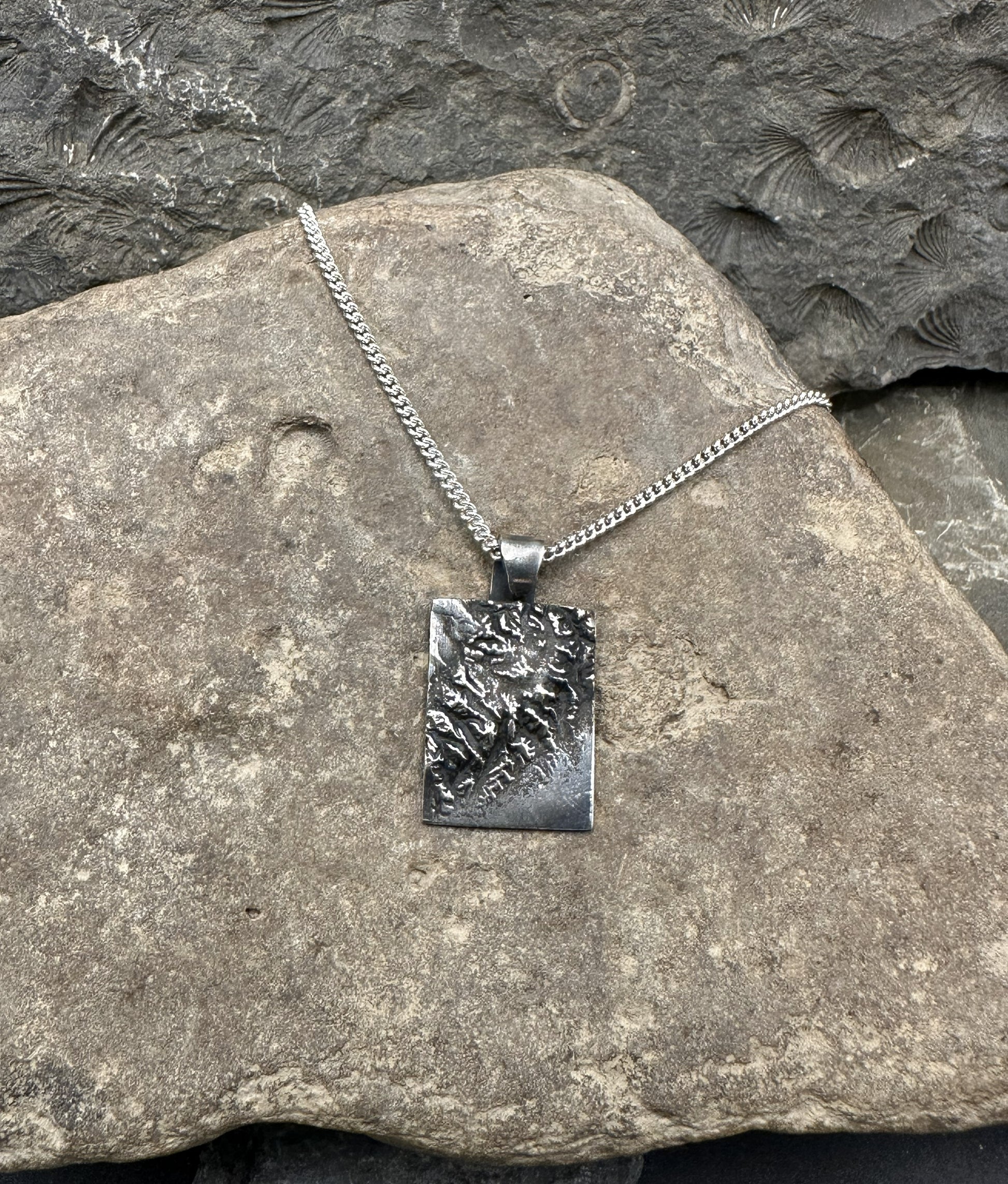 3D fine silver pendant of Kenai Fjords National Park.  Accurately displays the elevations and contours of the park.  