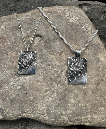Pair of 3D fine silver pendants of Alaska's Kenai Fjords National Park.  Accurately displays the elevations and contours of the park in two different sizes.