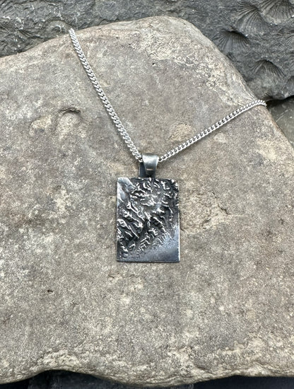 3D fine silver pendant of Kenai Fjords National Park.  Accurately displays the elevations and contours of the park.  