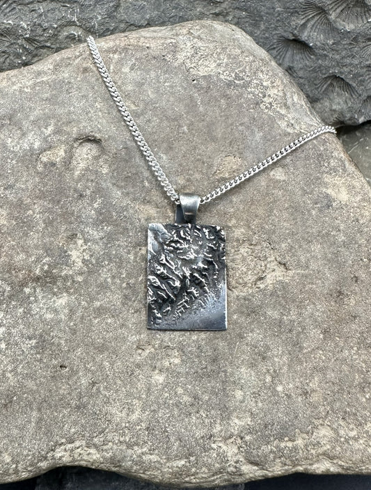3D fine silver pendant of Kenai Fjords National Park.  Accurately displays the elevations and contours of the park.  