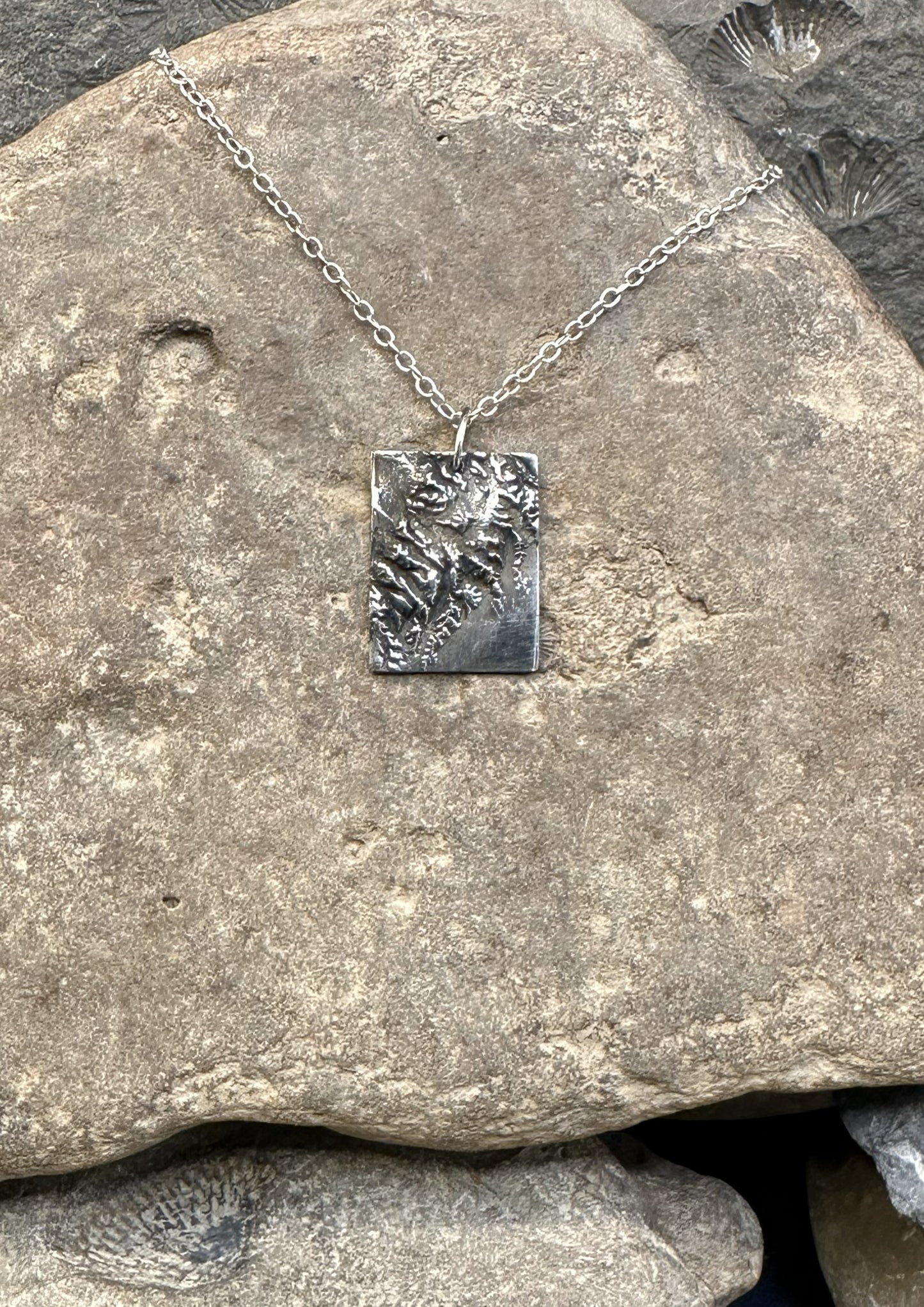 3D fine silver pendant of Kenai Fjords National Park.  Accurately displays the elevations and contours of the park.  