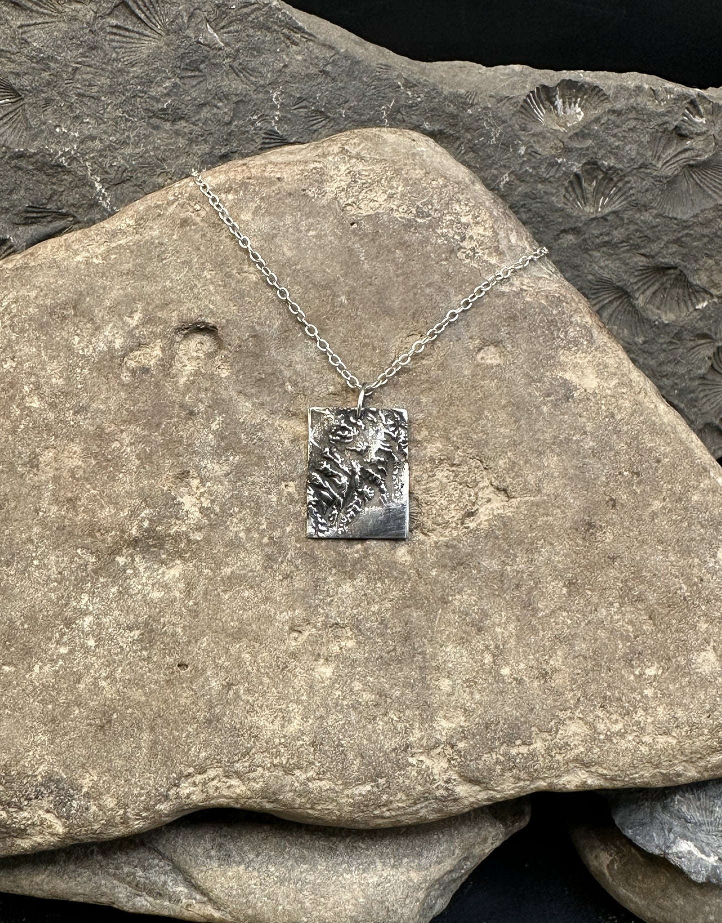 3D fine silver pendant of Kenai Fjords National Park.  Accurately displays the elevations and contours of the park.  