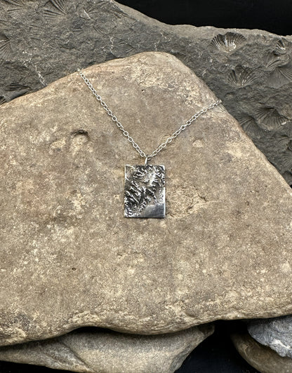 3D fine silver pendant of Kenai Fjords National Park.  Accurately displays the elevations and contours of the park.  