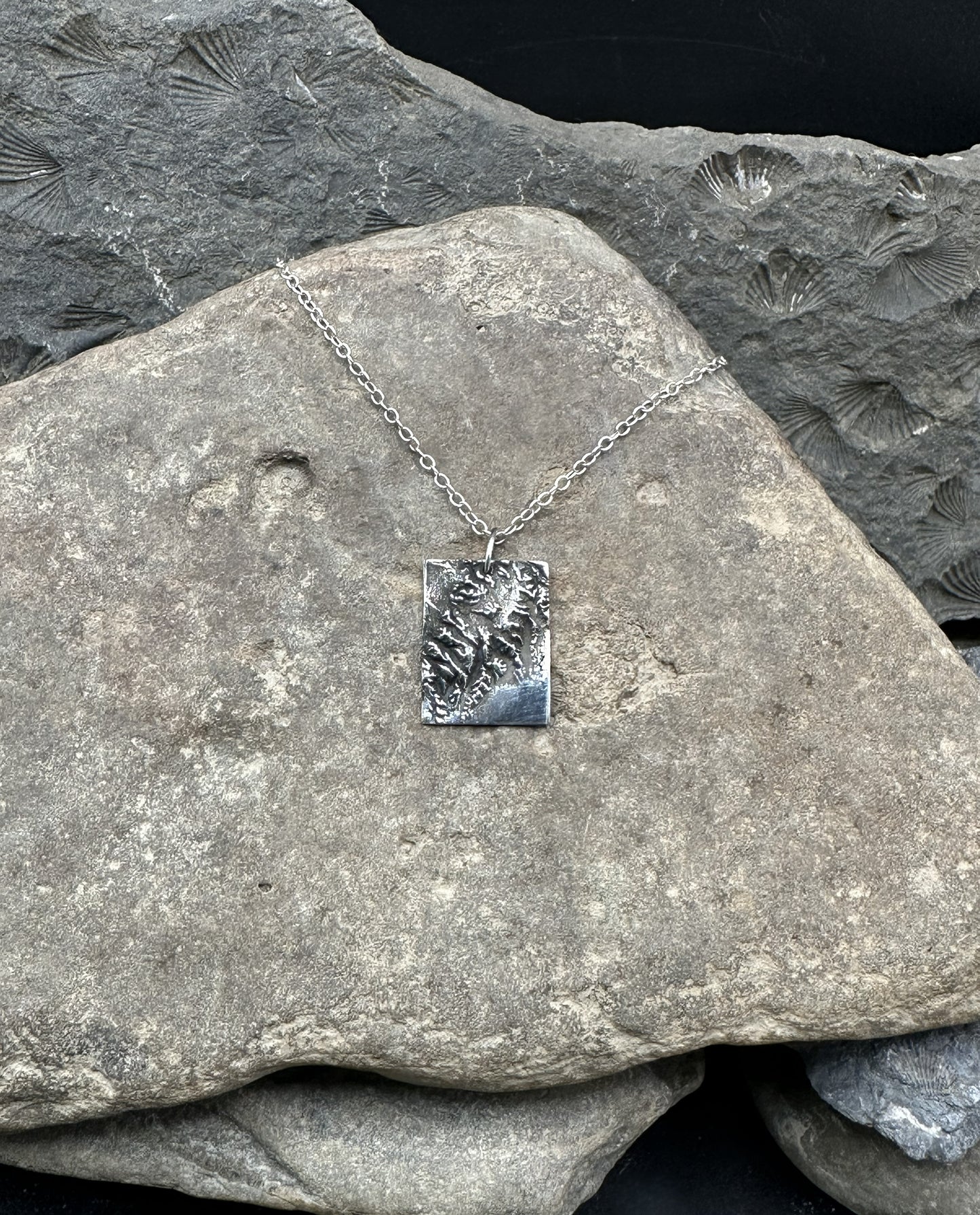 3D fine silver pendant of Kenai Fjords National Park.  Accurately displays the elevations and contours of the park.  