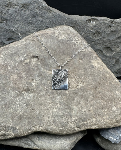 3D fine silver pendant of Kenai Fjords National Park.  Accurately displays the elevations and contours of the park.  