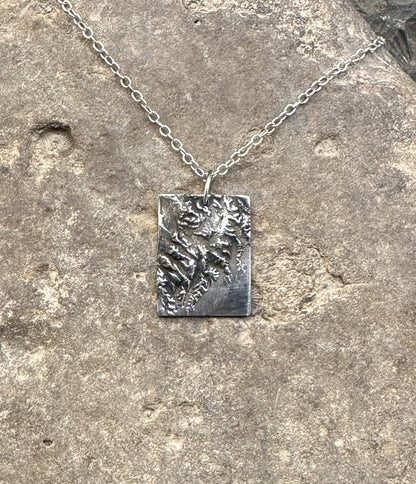 3D fine silver pendant of Kenai Fjords National Park.  Accurately displays the elevations and contours of the park.  