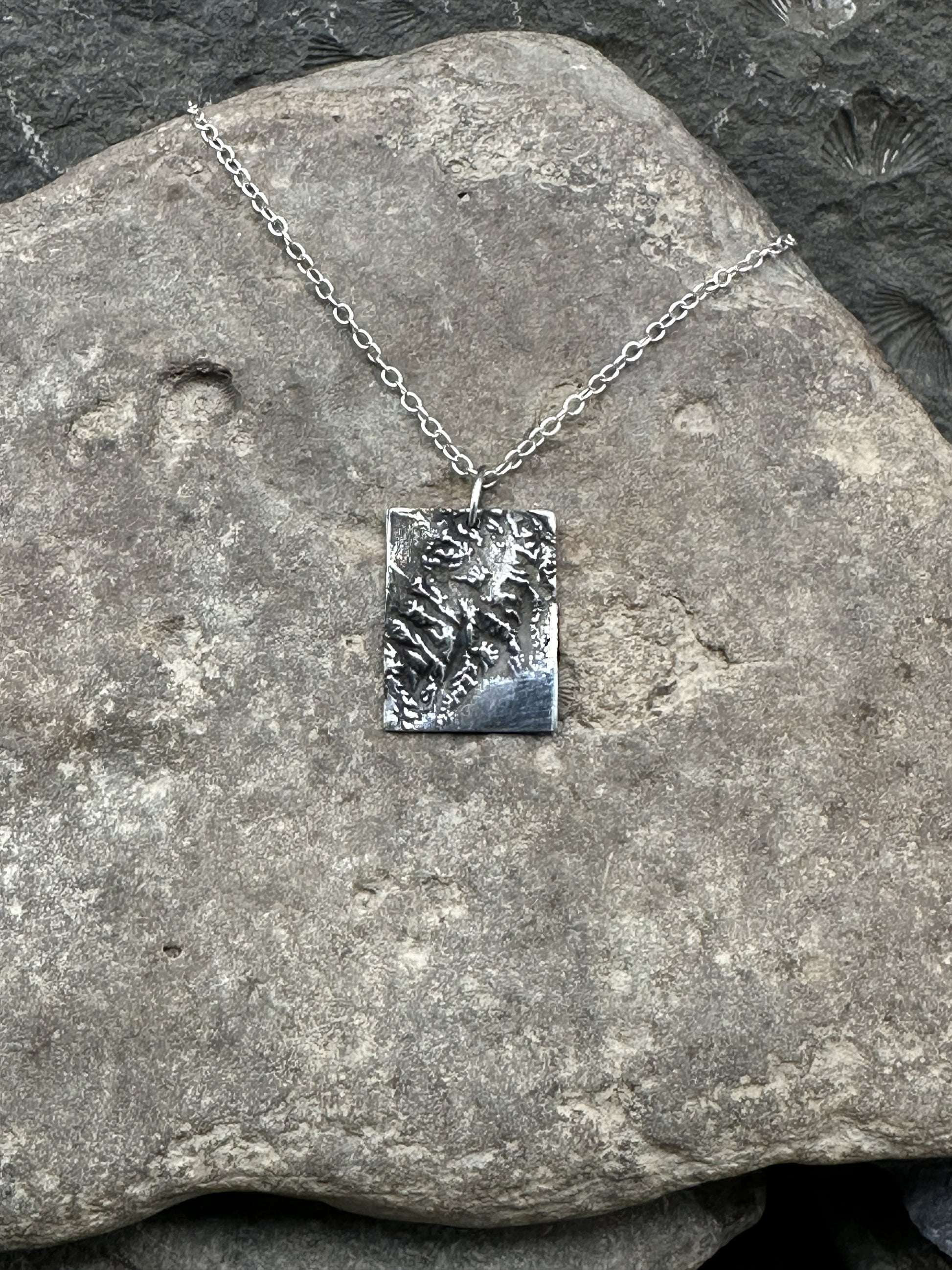 3D fine silver pendant of Kenai Fjords National Park.  Accurately displays the elevations and contours of the park.  