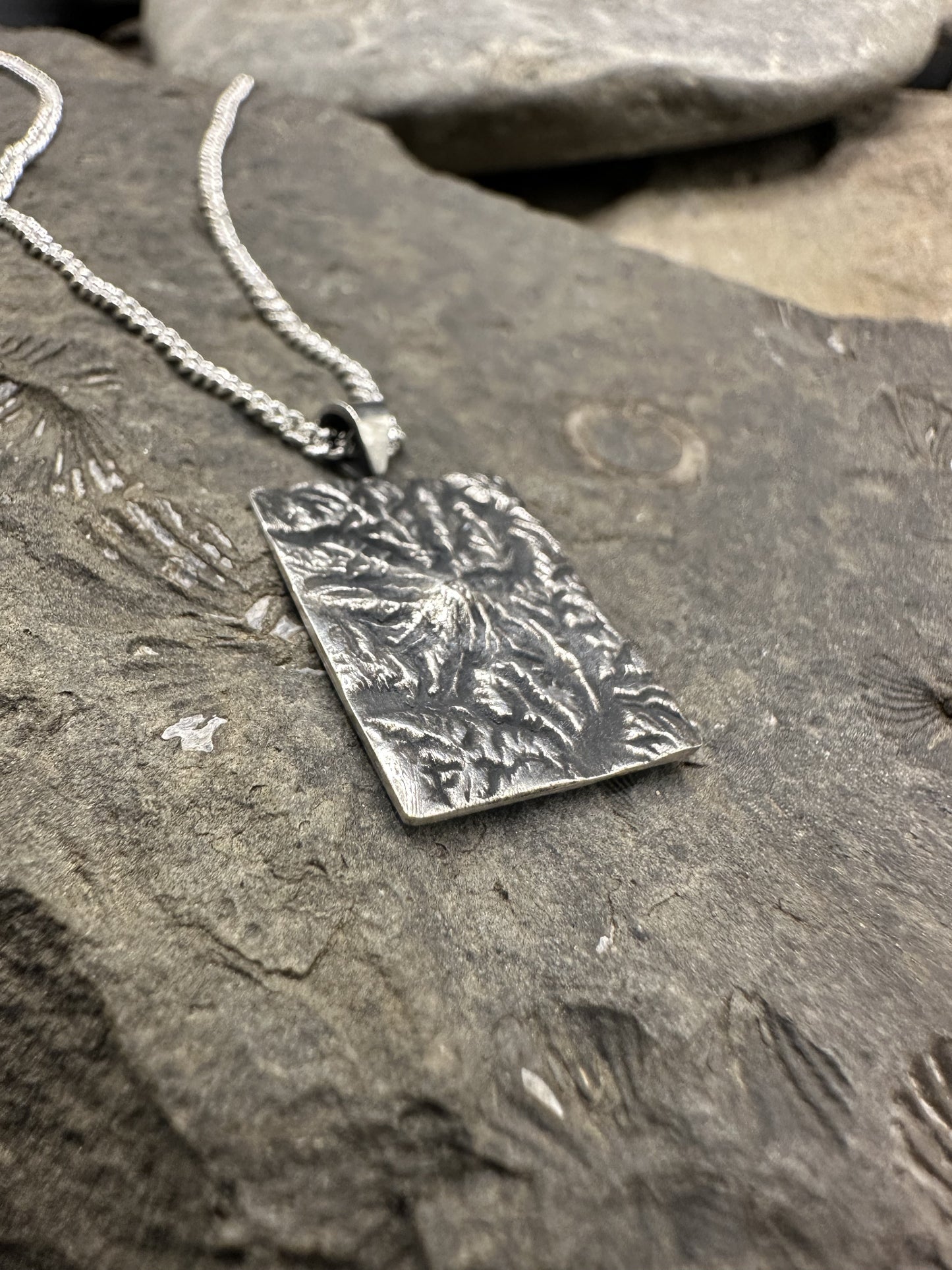 Mount Rainier National Park Topographic Necklace