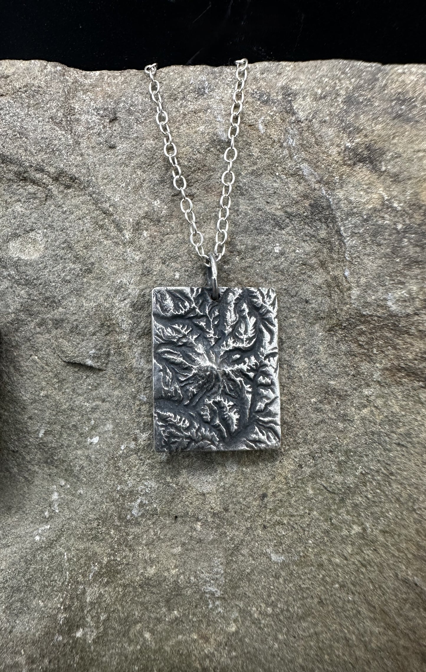 Mount Rainier National Park Topographic Pendant