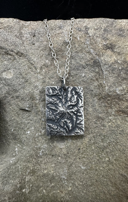 Mount Rainier National Park Topographic Pendant