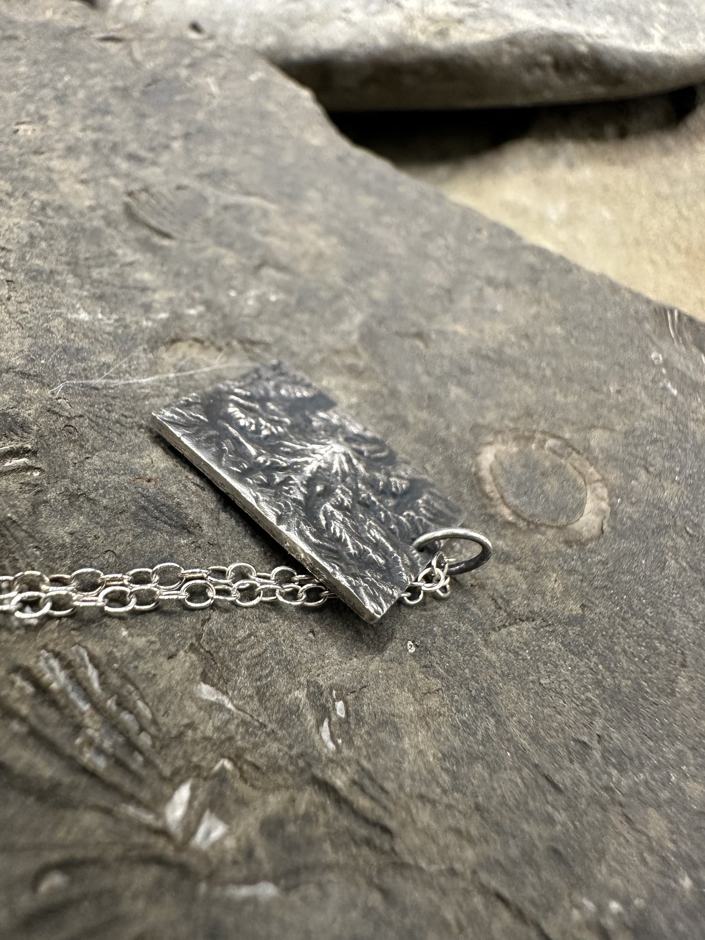 Mount Rainier National Park Topographic Pendant