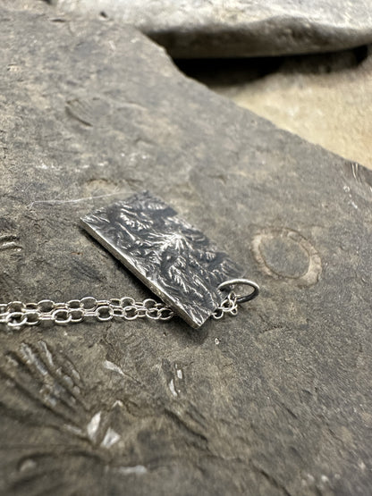 Mount Rainier National Park Topographic Pendant