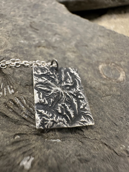 Mount Rainier National Park Topographic Pendant