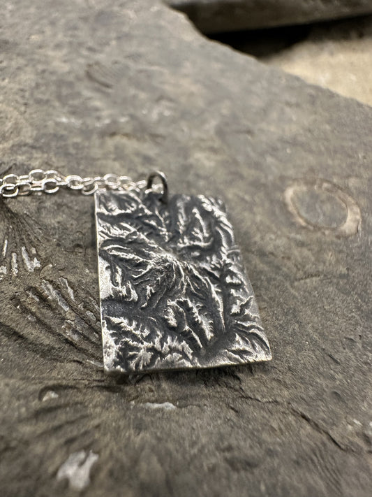 Mount Rainier National Park Topographic Pendant