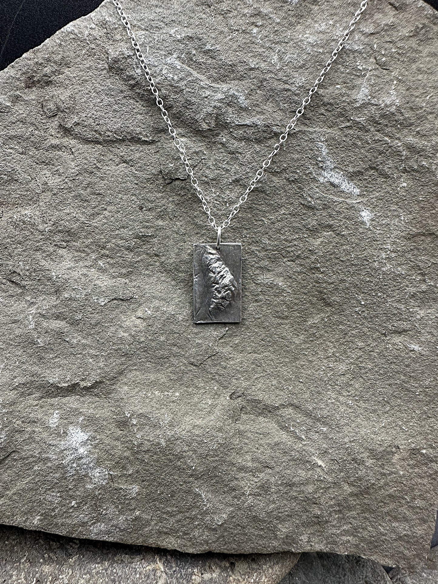 Mt. Susitna Topographic Necklace