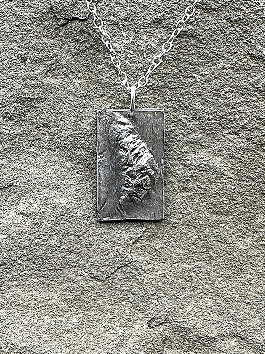 Mt. Susitna Topographic Necklace