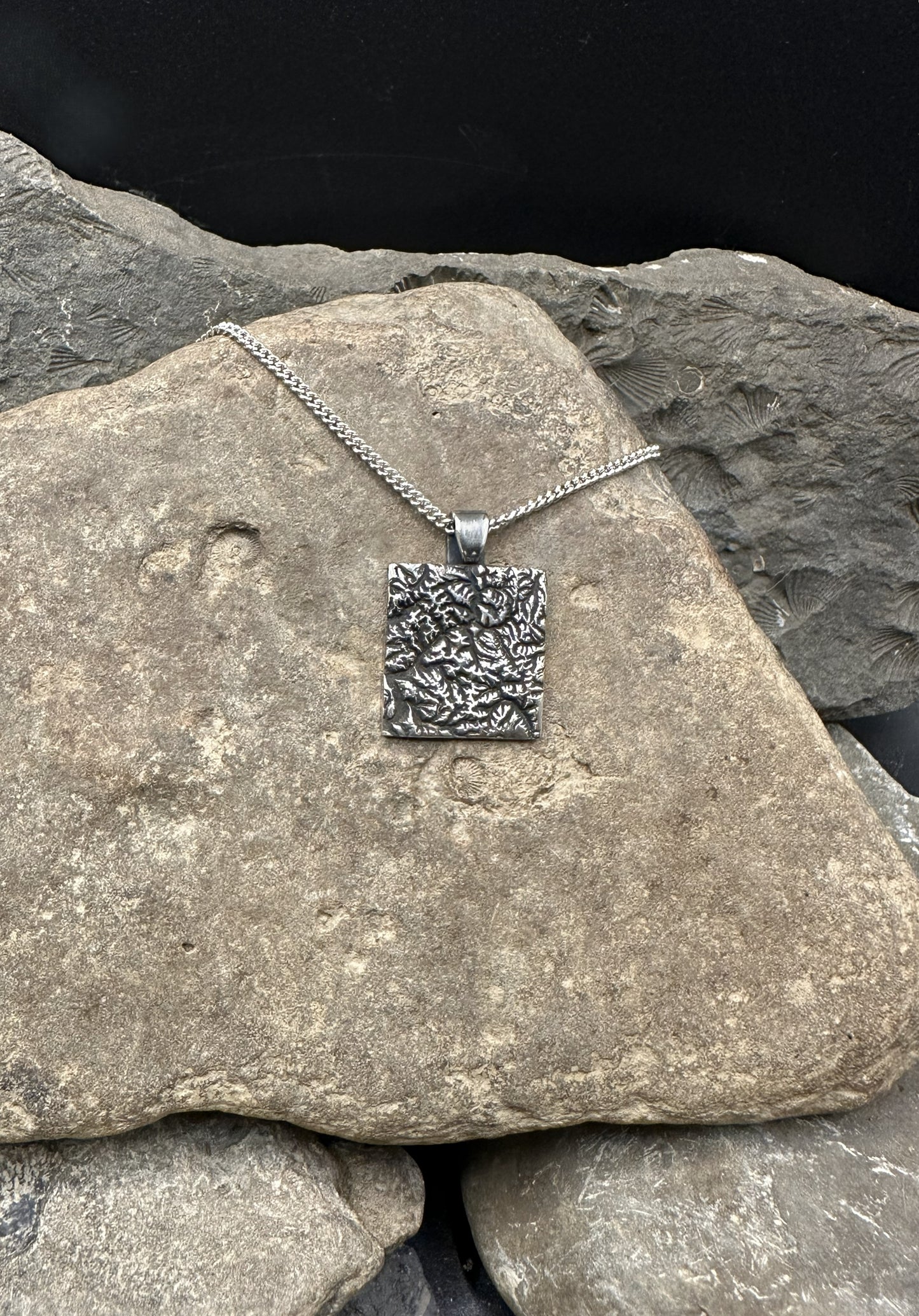3D fine silver pendant of North Cascades National Park.  Accurately displays the elevations and contours of the park.  