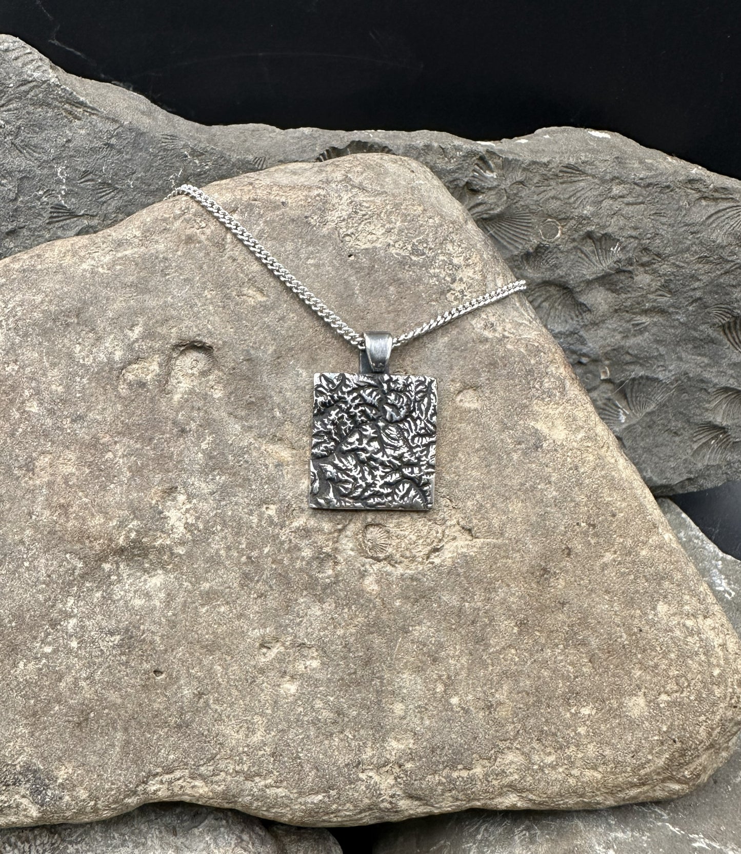 3D fine silver pendant of North Cascades National Park.  Accurately displays the elevations and contours of the park.  
