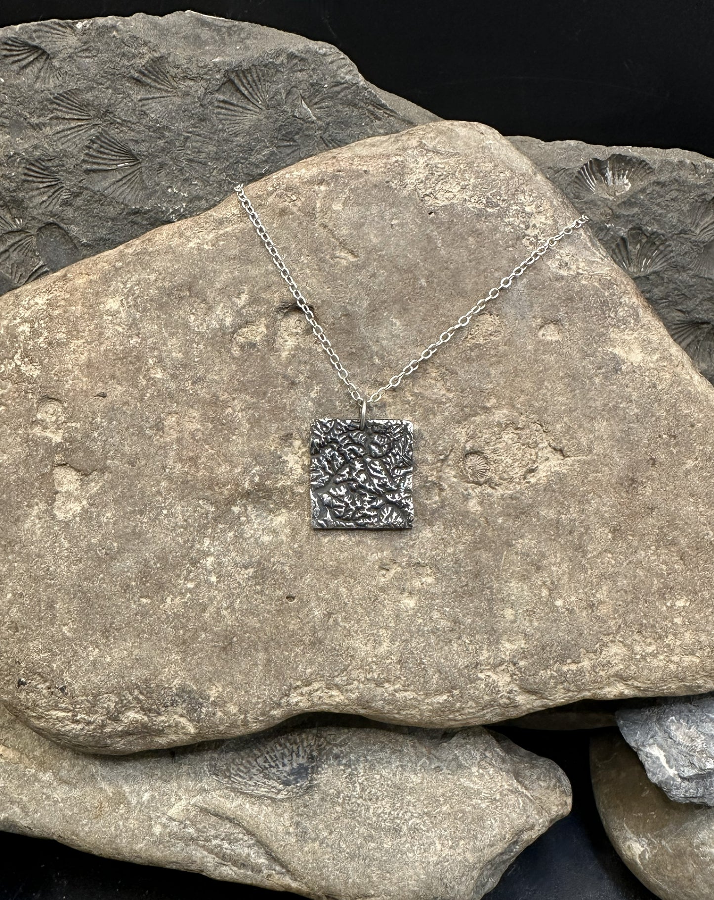 North Cascades National Park Topographic Pendant