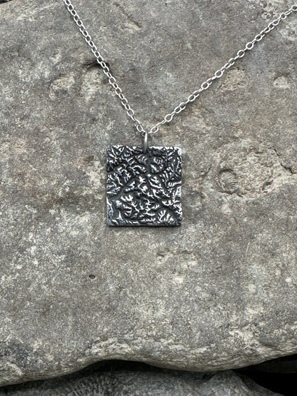 North Cascades National Park Topographic Pendant