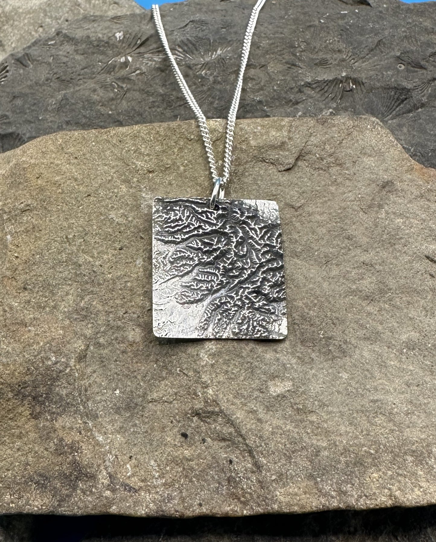 Olympic National Park Large Topographic Necklace